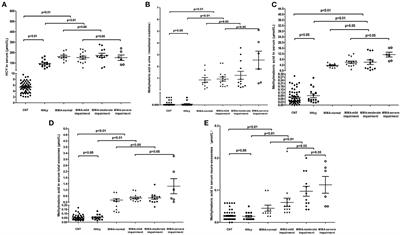 Methylmalonic acid levels in serum, exosomes, and urine and its association with cblC type methylmalonic acidemia-induced cognitive impairment